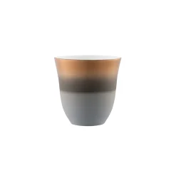 Illusions The Black Of India