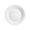 Reminiscence White